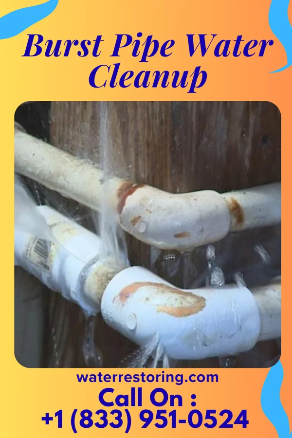 Burst Pipe Water Cleanup in Greensboro, PA