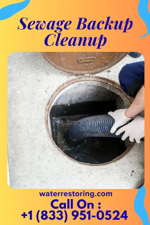 Sewage Backup Cleanup in Greensboro, PA