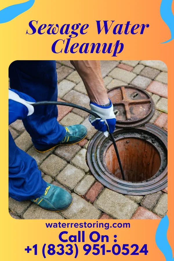 Sewage Water Cleanup in Greensboro, PA
