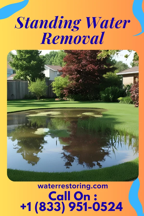 Standing Water Removal in Greensboro, PA